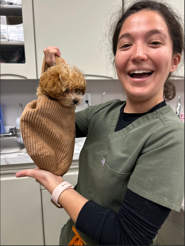 Staff Holding Dog