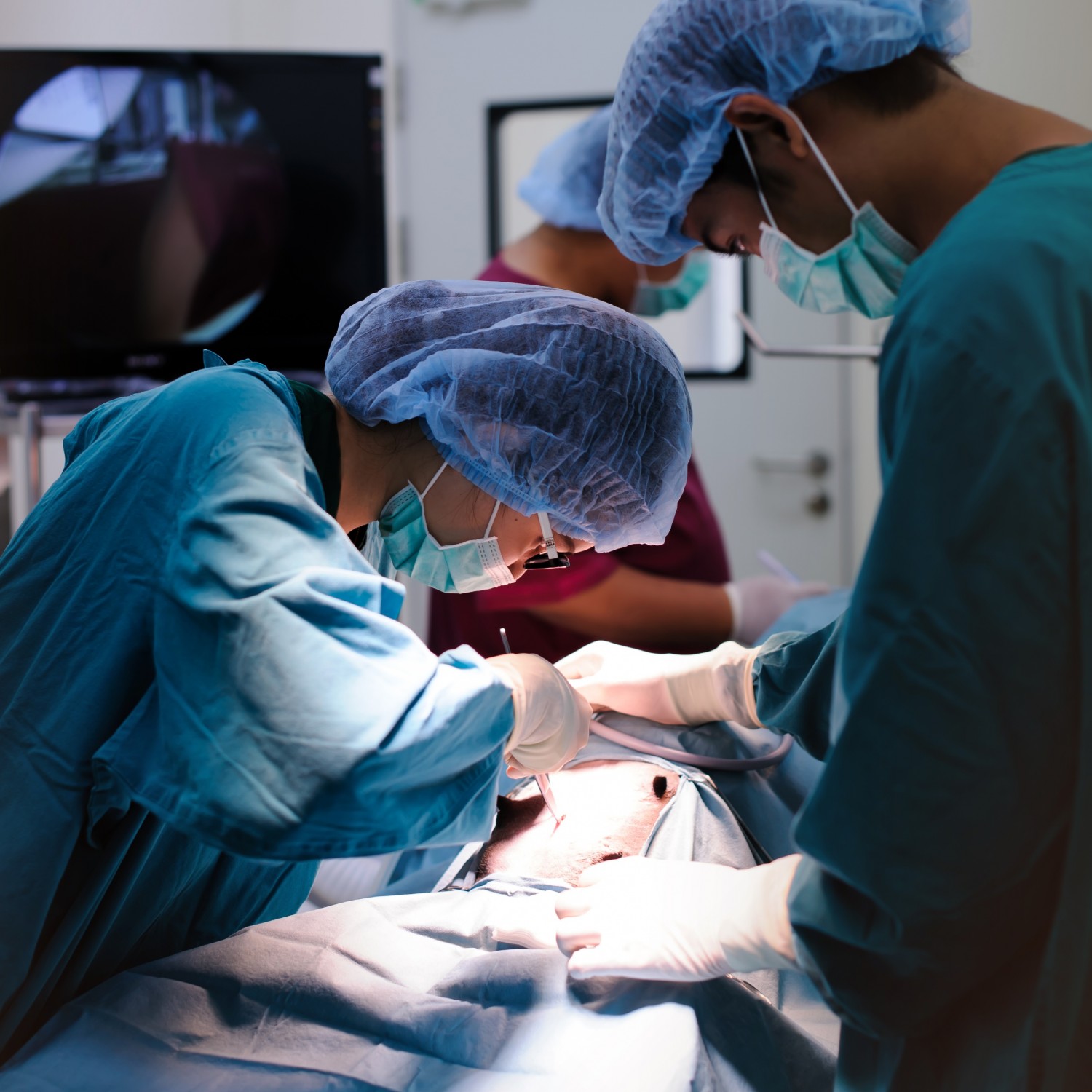 Veterinarians Performing Surgery Veterinarians Performing Surgery