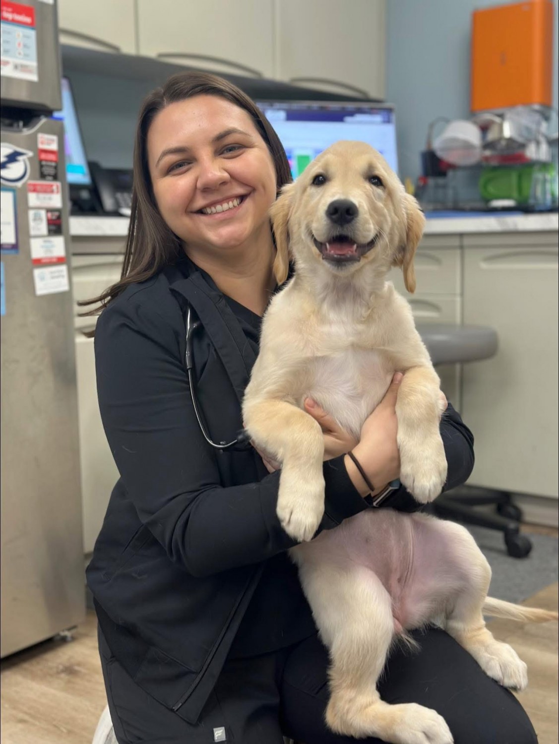 Staff Holding Dog