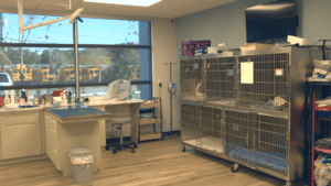 Treatment Room Treatment Room
