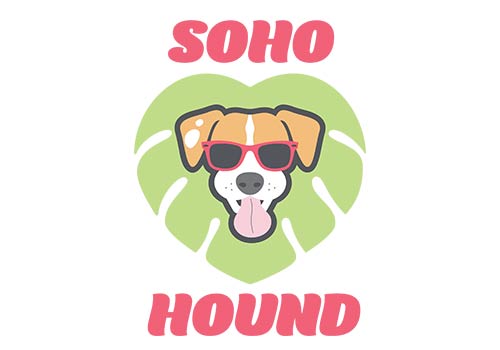 SOHO Hound